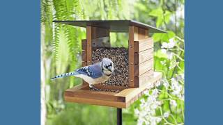 Bird Feeder Plans and StepbyStep Instructions [upl. by Nytsud]