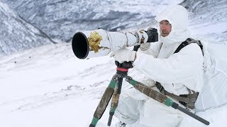 4 DAY SOLO WINTER CAMPING AND WILDLIFE PHOTOGRAPHY  off grid adventure behind the scenes in Norway [upl. by Caines]