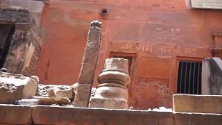 Visit to Trailanga Swami SamadhiVaranasi  Part 1 [upl. by Bucher649]