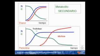 umh1399 Lec0013c Metabolitos primarios y secundarios [upl. by Dasya]