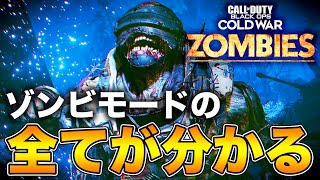 【CoDBOCWゾンビ】初心者からベテランまで！新ゾンビモードのシステムについて詳細解説！やり込み要素も満載Call of Duty Black ops Cold War【DIE MASCHINE】 [upl. by Eiduam]