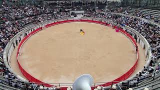 Bullfighting at Arena of Nîmes  1 Nîmes France [upl. by Albarran465]