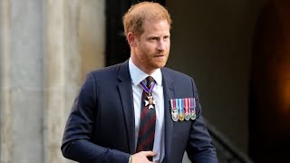 Prince Harry wins right to appeal High Court ruling over personal security [upl. by Eirahs]