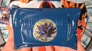 MTG BLUE EDITION BOOSTER BAGS  eBay Mystery Packs [upl. by Wendalyn]