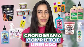 MONTEI UM CRONOGRAMA CAPILAR COM PRODUTOS LOLA COSMETICS Liberado LowNo Poo  Larisse Gama [upl. by Sinylg]