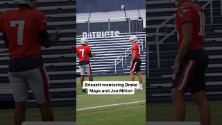 Jacoby Brissett MENTORING Drake Maye at Practice [upl. by Ellerey]