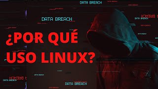 Por Qué uso Linux para Programar y Desarrollar Aplicaciones [upl. by Enajharas]