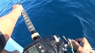 Daiwa Tanacom Electric Reel vs Huge Tiger Shark [upl. by Atnuahsal]