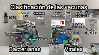 Clasificación de las Vacunas Bacterianas y Virales [upl. by Aldis392]