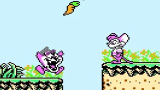 Tiny Toon Adventures NES Playthrough [upl. by Ajna550]