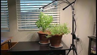 Grow Light for Indoor Plants Unboxing and Setup [upl. by Noyes710]