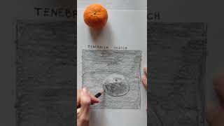 Simple Tenebrism Sketch Demo [upl. by Barby]