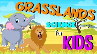 What are Grasslands  Science for Kids [upl. by Eilsel746]