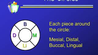 Dental Charting [upl. by Ettedualc]