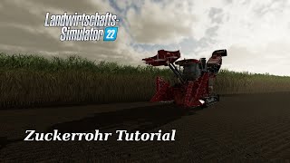 LS22 Tutorial Zuckerrohr  FARMING SIMULATOR 22 [upl. by Shakti615]