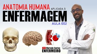 ANATOMIA APLICADA À ENFERMAGEM AULA 002 [upl. by Thibaud450]