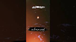 حضور نے کچھ چیزوں سے پناہ مانگی ہے🕋حدیثنبویحديث youtubeshorts religion bayanshortsislamduet [upl. by Aninnaig]