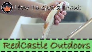 How to Gut a Trout the Right Way [upl. by Alatea]