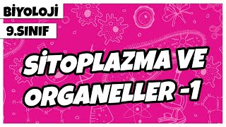 9 Sınıf Biyoloji  Sitoplazma ve Organeller 1 [upl. by Ekyt]