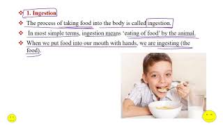 10 Nutrition  Life Process Class 10 Science Biology  Five steps in nutrition in animals [upl. by Rolat]