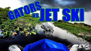 Big gator jumps at Jet skiers on the Kissimmee River Yamaha Seadoo  Florida Ski Riders [upl. by Hsemin]