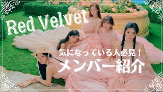 【Red velvet 】メンバー紹介【レドベル】 [upl. by Stahl]