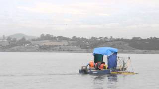 EDGETECH 6205 running in a IPT Catamaran [upl. by Aisereht]