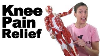 10 Best Knee Stretches for Knee Pain Relief – Ask Doctor Jo [upl. by Uphemia]