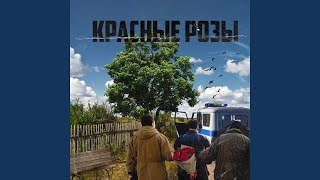 Красные розы [upl. by Kowatch]