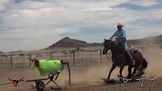 7K Roping  Something Steer Roping Sled Comparison [upl. by Aseek636]