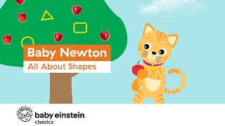 Learn Shapes for Toddlers  Baby Newton All About Shapes  Baby Einstein [upl. by Niffirg440]