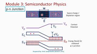 Intercellular junctions  Tight junction gap junction desmosomes [upl. by Lletniuq]