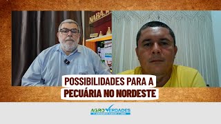 Semiárido nordestino e seus desafios [upl. by Herold212]