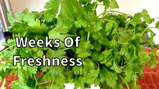 How To Keep Coriander Leaves Cilantro FRESH FOR WEEKS [upl. by Ursal]