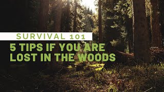 What to do if you are LOST in the Woods [upl. by Alimrahs]