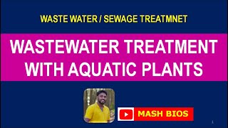 WASTEWATER TREATMENT WITH AQUATIC PLANTS [upl. by Noble]