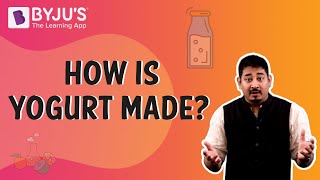 How is Yogurt Made  Learn with BYJUS [upl. by Aklog]