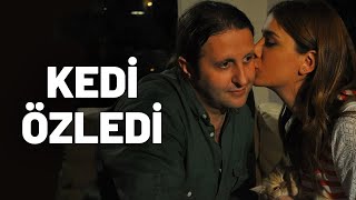 Kedi Özledi  Tek Parça Film Yerli Komedi [upl. by Doralia797]