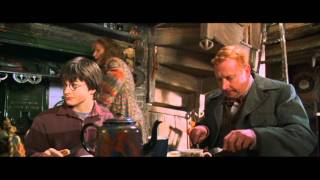 Harry Potter and the Chamber of Secrets  Harrys first time at the Weasleys home HD [upl. by Ave]