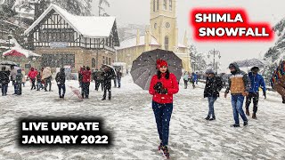 SHIMLA LIVE SNOWFALL UPDATE JANUARY 2022  SHIMLA SNOWFALL  SHIMLA SNOWFALL 2022 [upl. by Nymrak103]