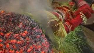 Pottan Theyyam Travel Kannur Kerala videos [upl. by Nnaacissej517]