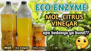 MEMBUAT ECO ENZYME GARBAGE ENZYME [upl. by Monro]