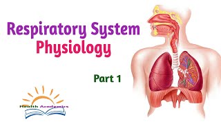 Respiratory System Physiology Part 1 Interesting Video Lecture in Amharic Speech [upl. by Assenav963]