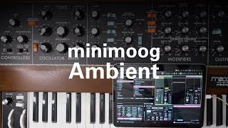 Minimoog ambient [upl. by Flyn]