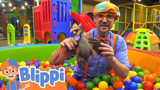 Blippi Visits Kinderland Indoor Playground  Fun and Educational Videos for Kid [upl. by Gerek]