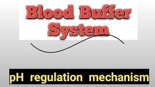 Blood Buffer System Chemical Buffer System  Bicarbonate Buffer System [upl. by Ramel]