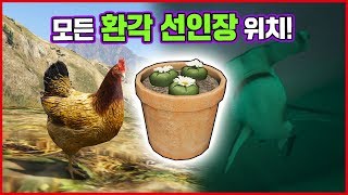 GTA 온라인 환각 선인장 위치 공략  A후라 GTA5 카지노 업데이트 리뷰 [upl. by Ainsley]