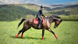 Epic full galloping GoPro extreme riding Best shots [upl. by Tinor]