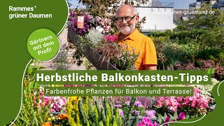 Herbstliche BalkonkastenTipps Farbenfrohe Pflanzen für Balkon und Terrasse [upl. by Faber]