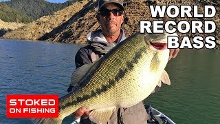 World Record Bass  Part 1 [upl. by Llekim]